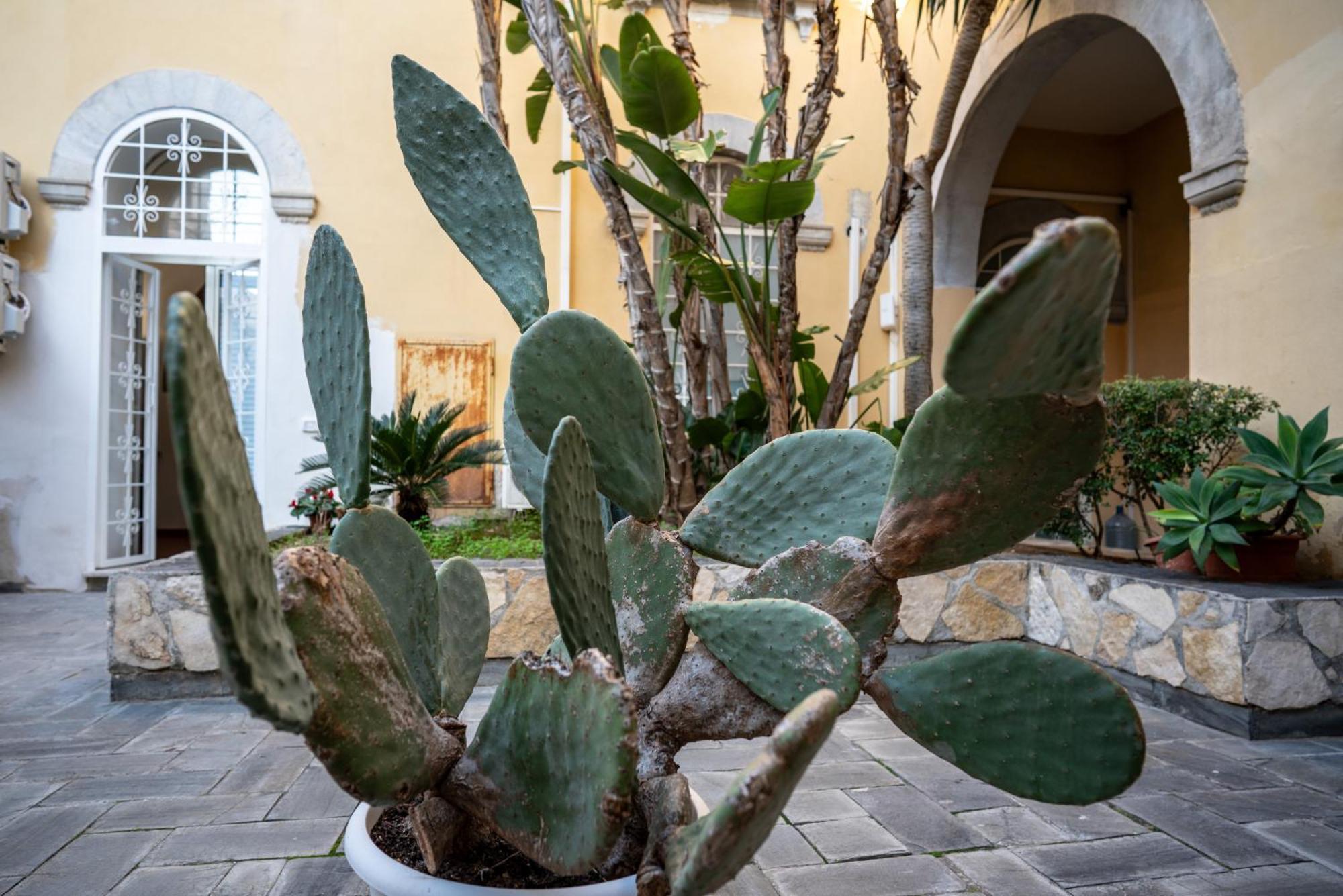Casa Orchidea D'Oro Syracuse Exterior foto